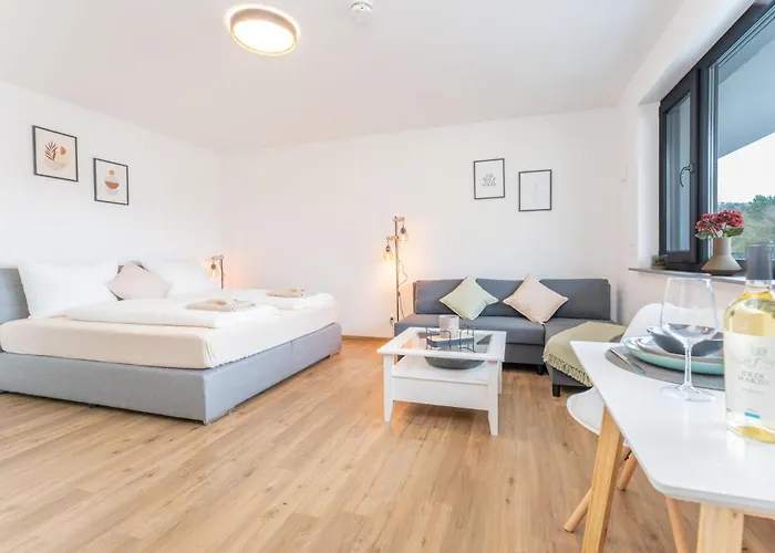 Modernes Studio-apartment Mit Balkon Und Privatem Stellplatz Fuer Bis Zu 4 Personen Nur Wenige Minuten Von Der Innenstadt & Mosel Entfernt Koblenz (Rhineland-Palatinate)